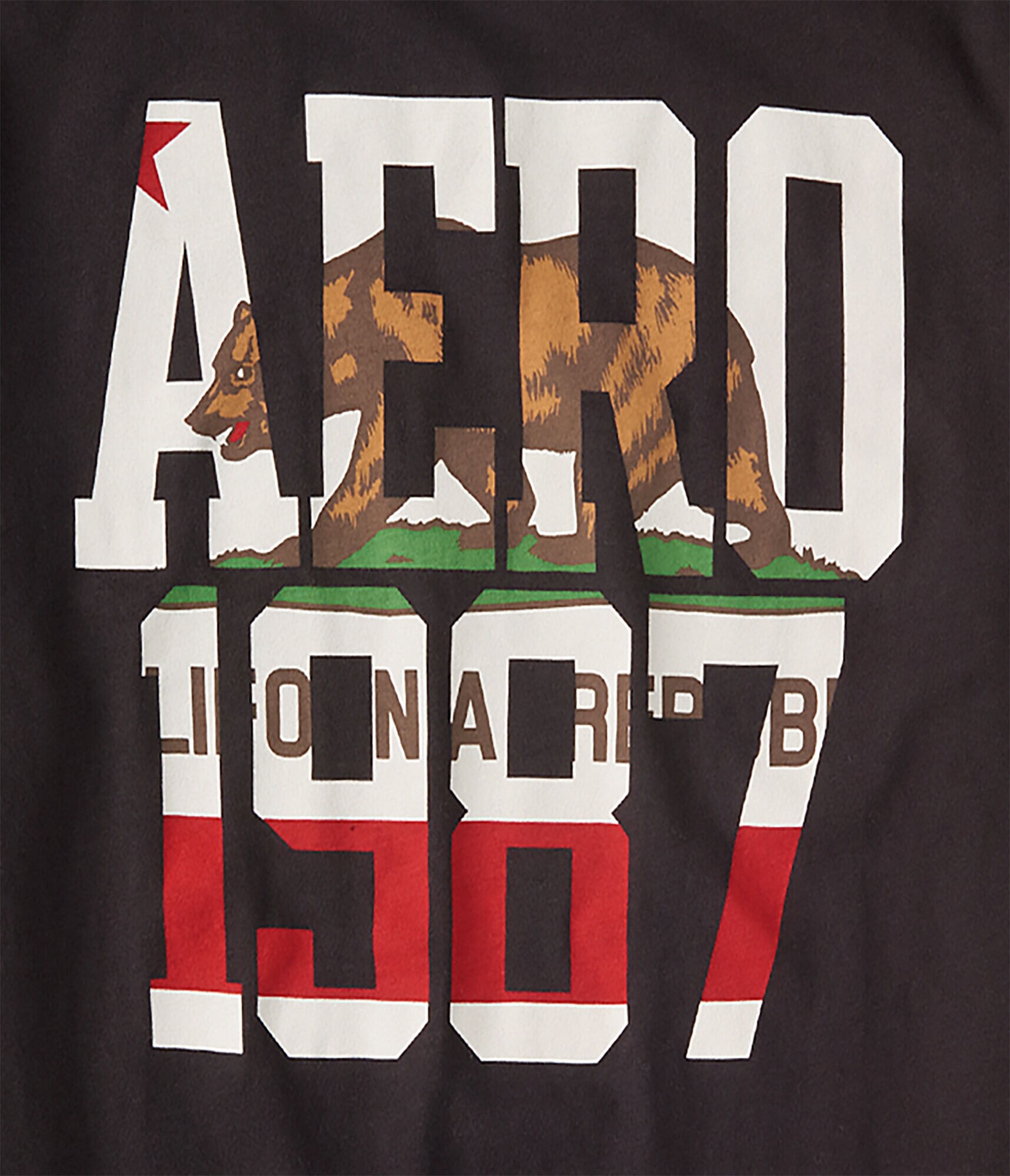 Aero Bear 1987 Graphic Tee