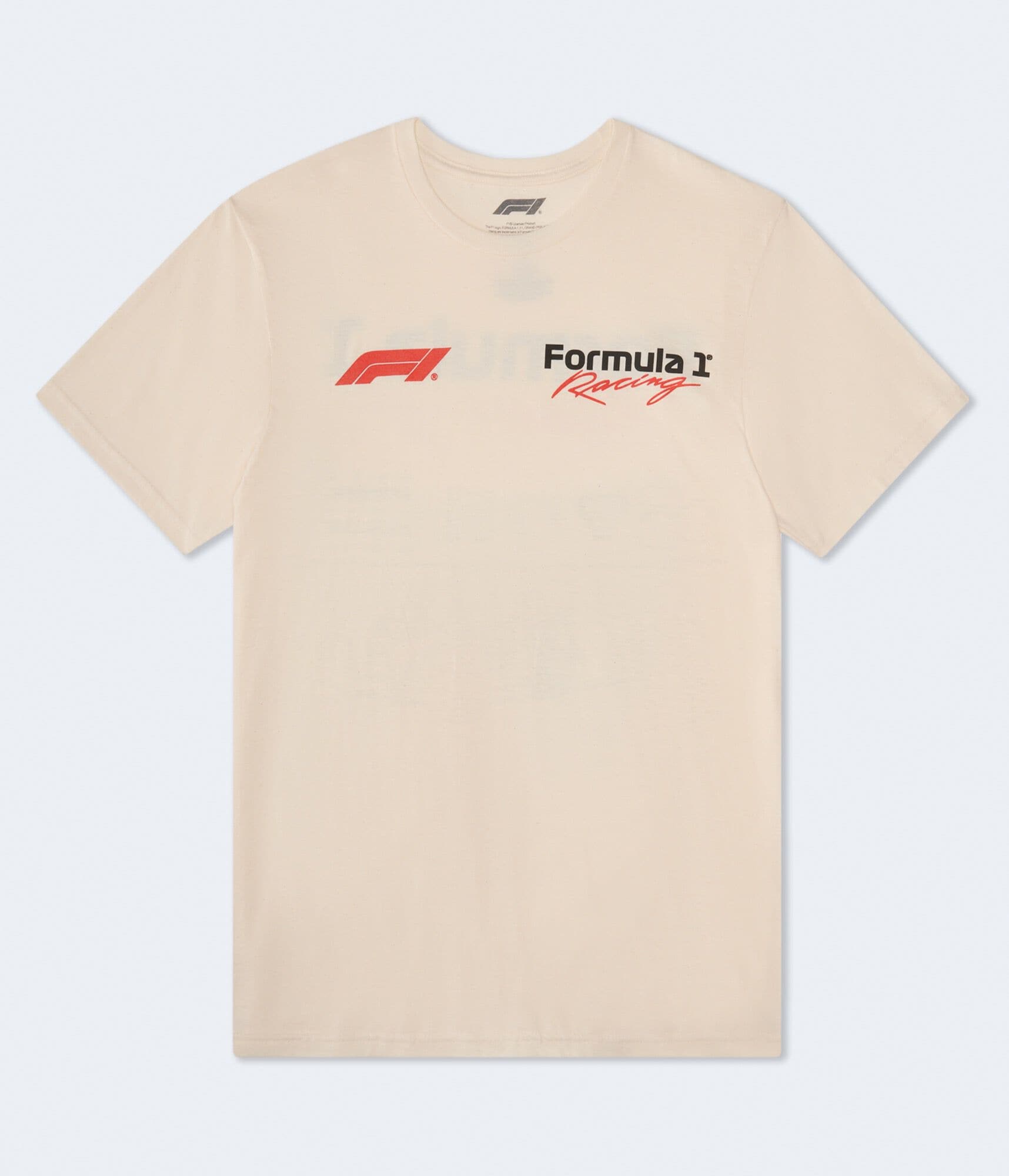 Formula 1® Racing Relaxed Graphic Tee