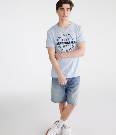 Aeropostale 1987 Circle Appliqué Graphic Tee Aeropostale 1987 Circle Appliqué Graphic Tee