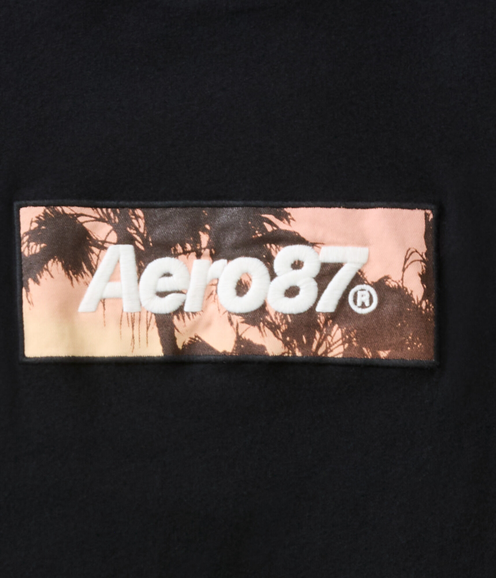 Aero87 Palm Tree Box Logo Graphic Tee