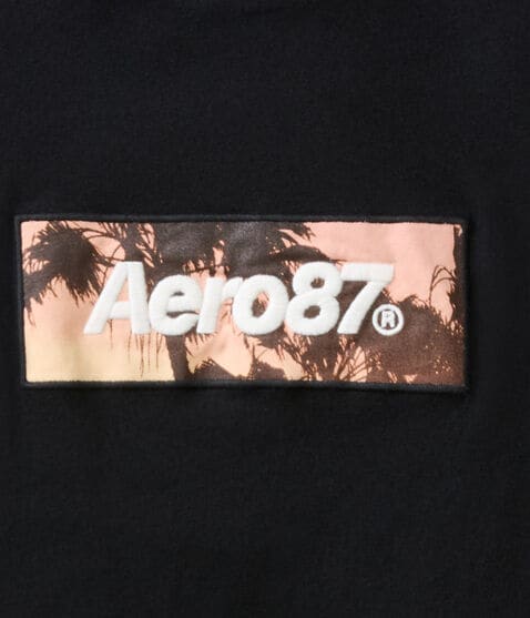 Aero87 Palm Tree Box Logo Graphic Tee