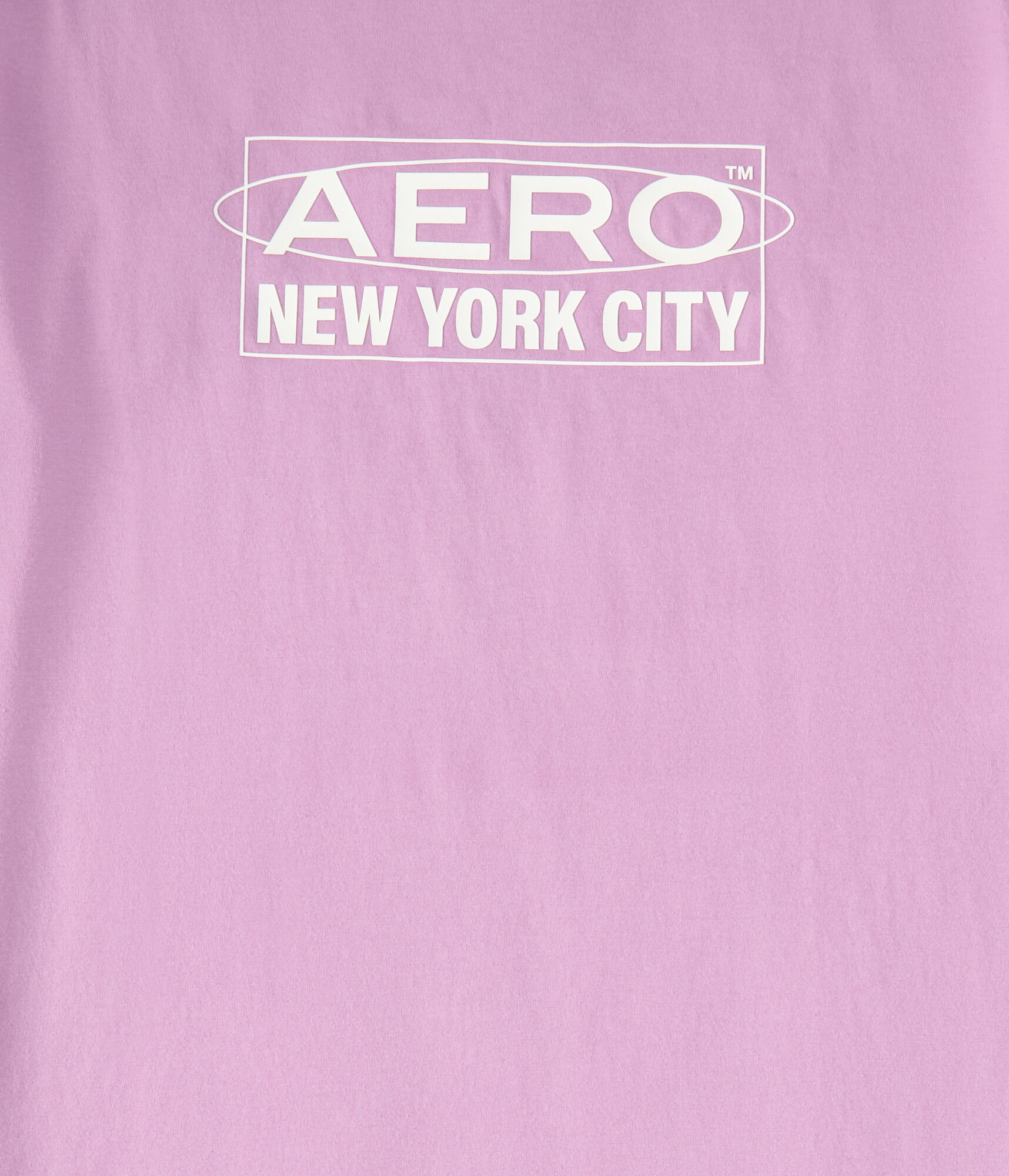 Aero Oval Box Logo Graphic Tee