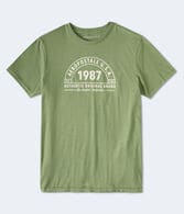 Aeropostale 1987 Arch Flocked Graphic Tee