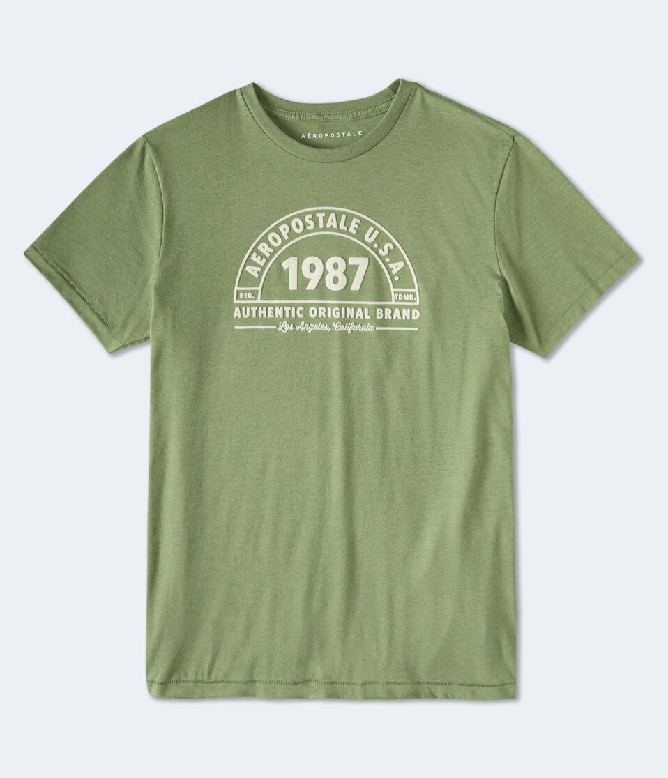 Aeropostale 1987 Arch Flocked Graphic Tee
