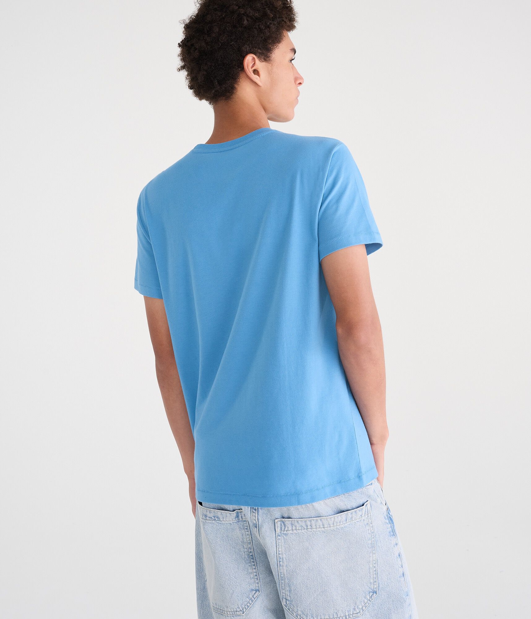 Aeropostale Lion Crest Flocked Graphic Tee