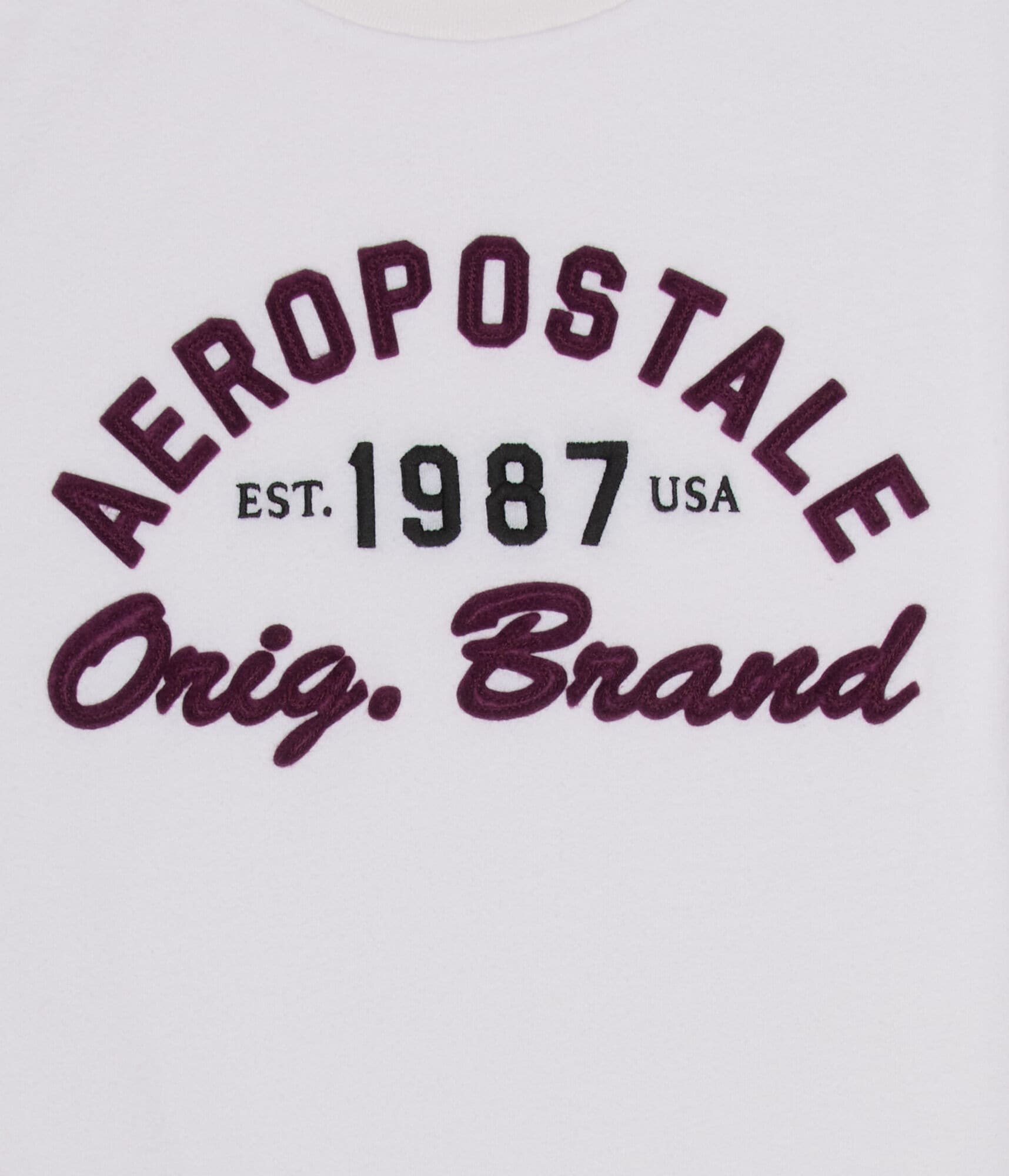 Aeropostale 1987 Appliqué Graphic Tee