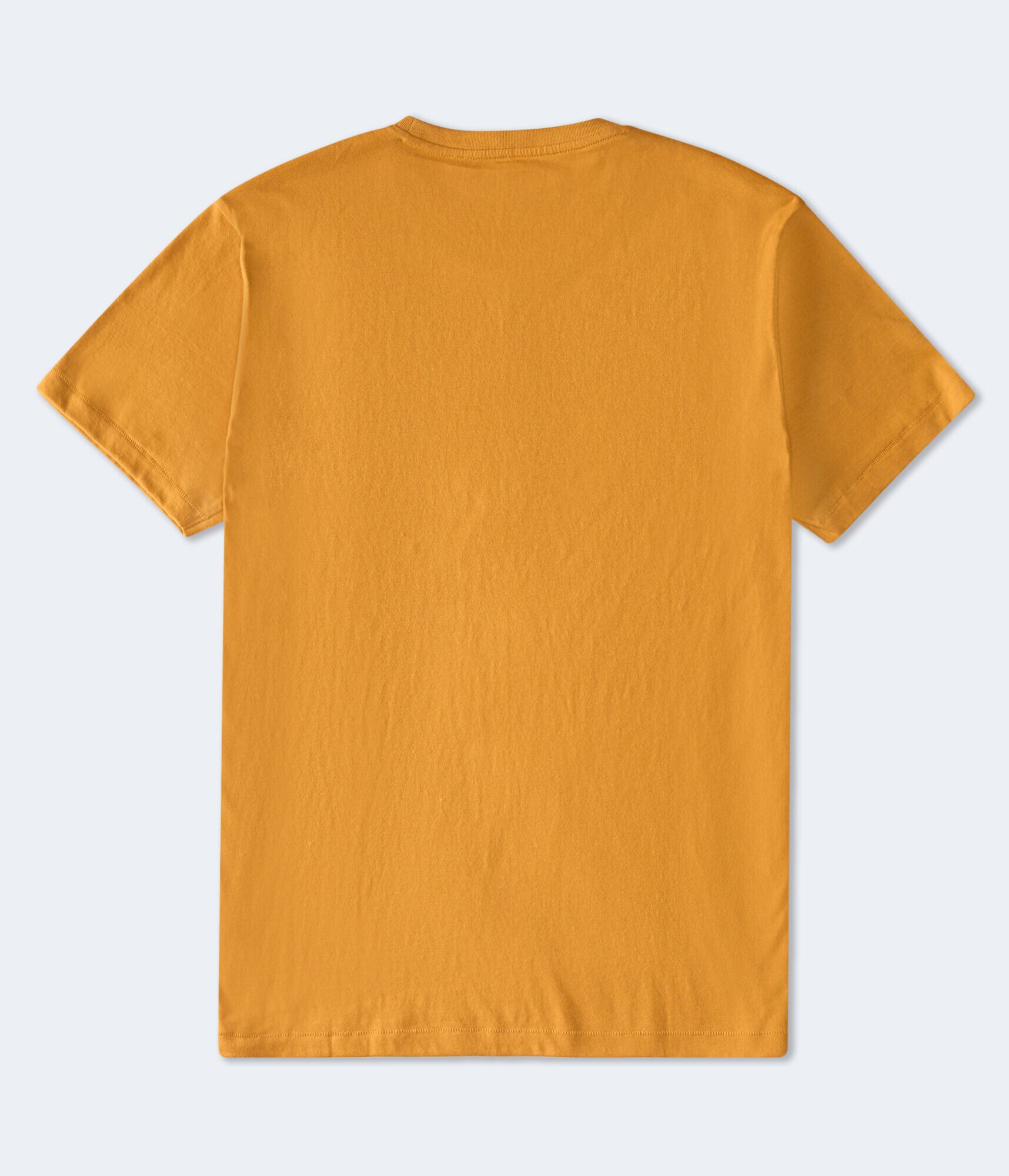 Aero NYC USA Flocked Graphic Tee