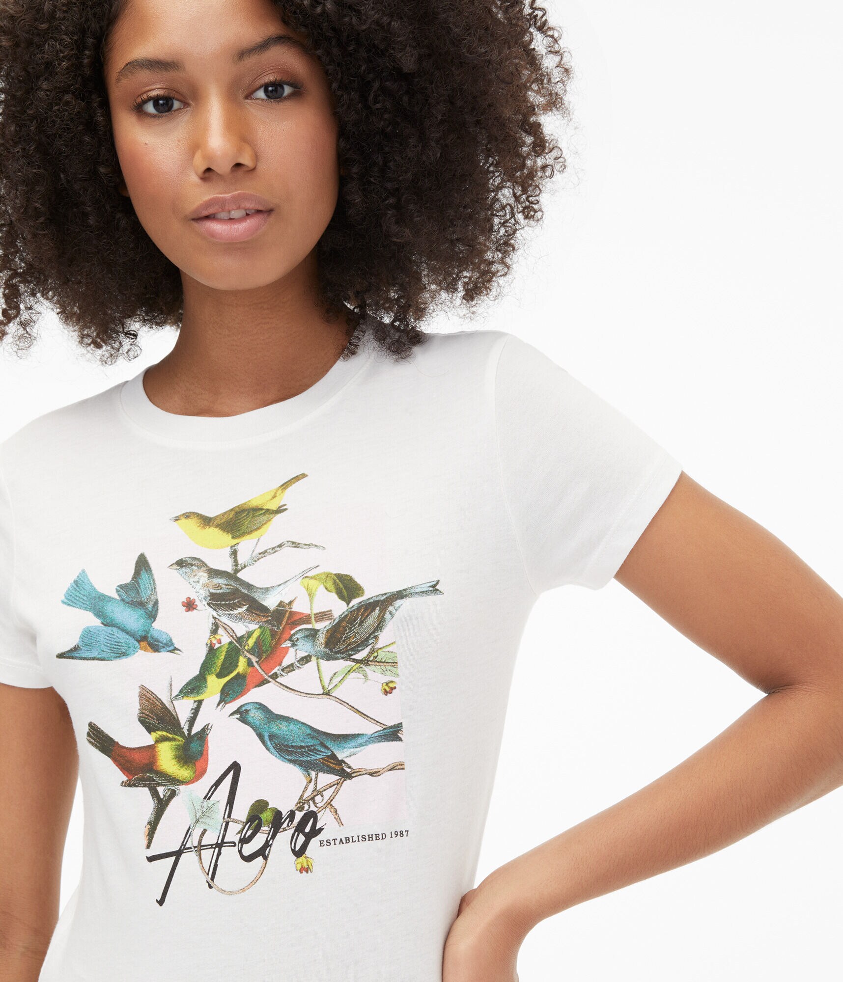 Bird Gathering Graphic Tee