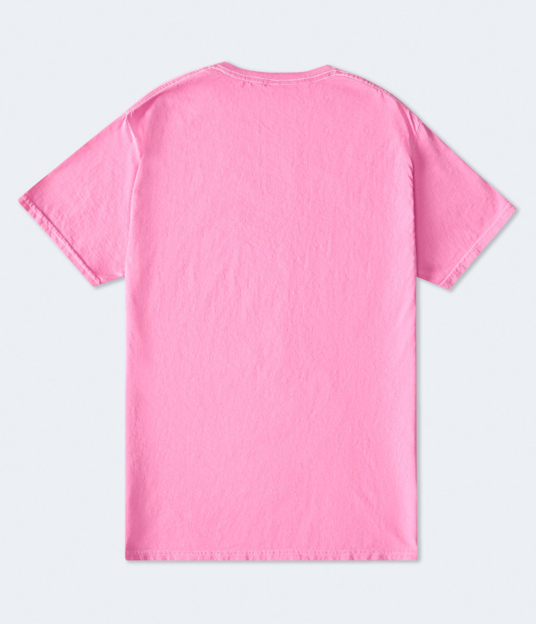 Van Gogh Oleanders Oversized Graphic Tee