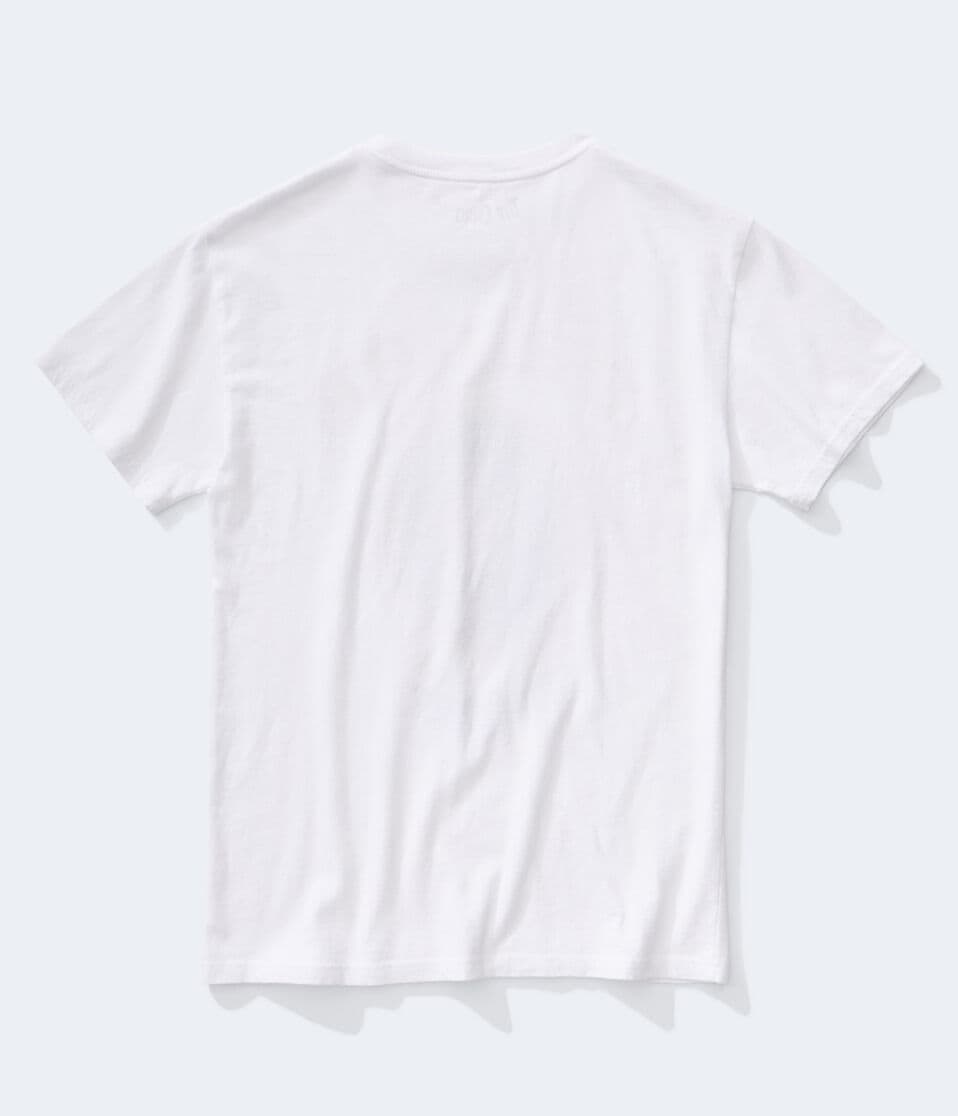 Dr. Dre The Chronic Relaxed Graphic Tee