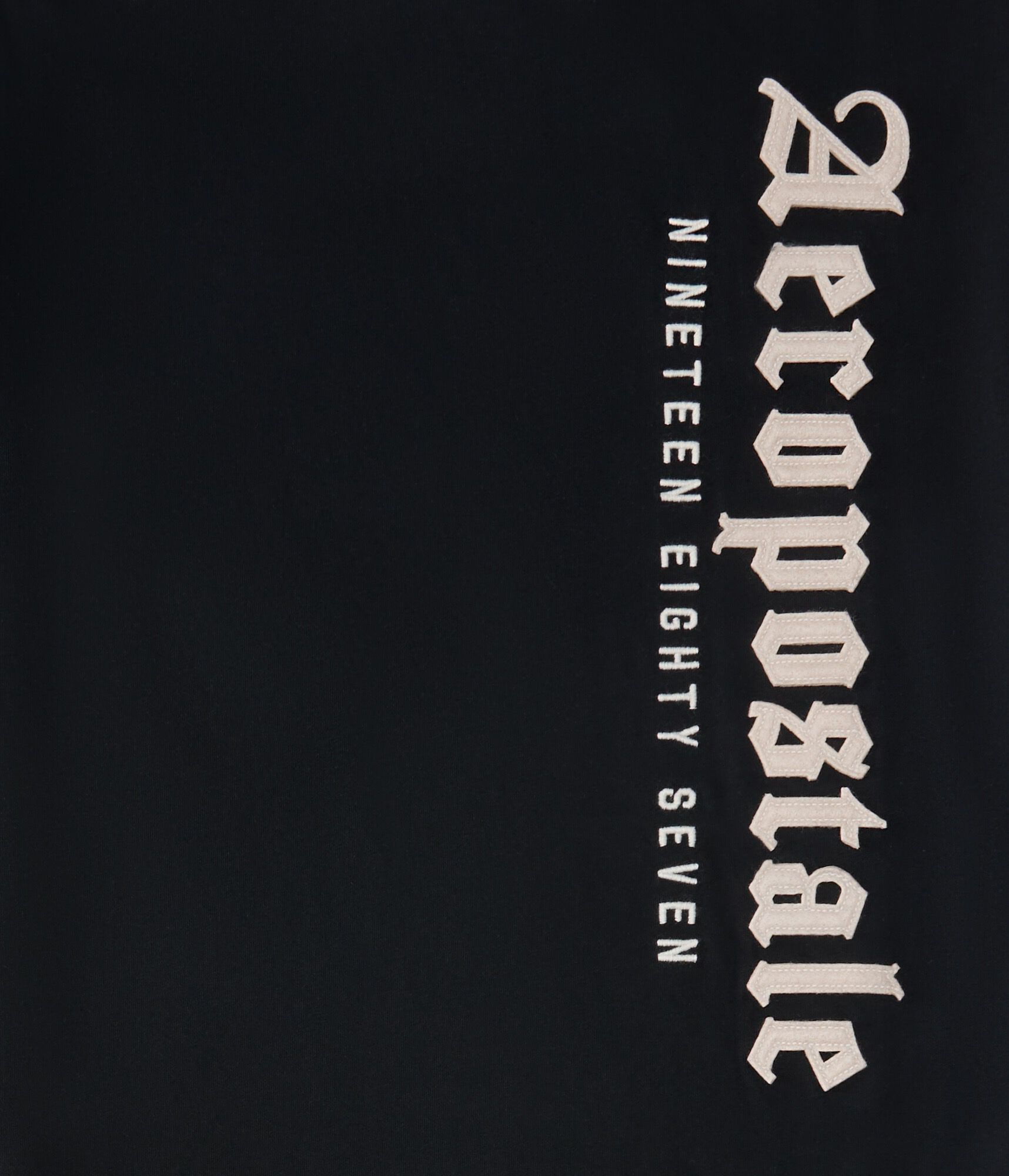 Vertical Aeropostale Appliqu&eacute; Graphic Tee