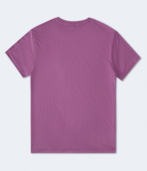 Aero 1987 Trademark Appliqué Graphic Tee