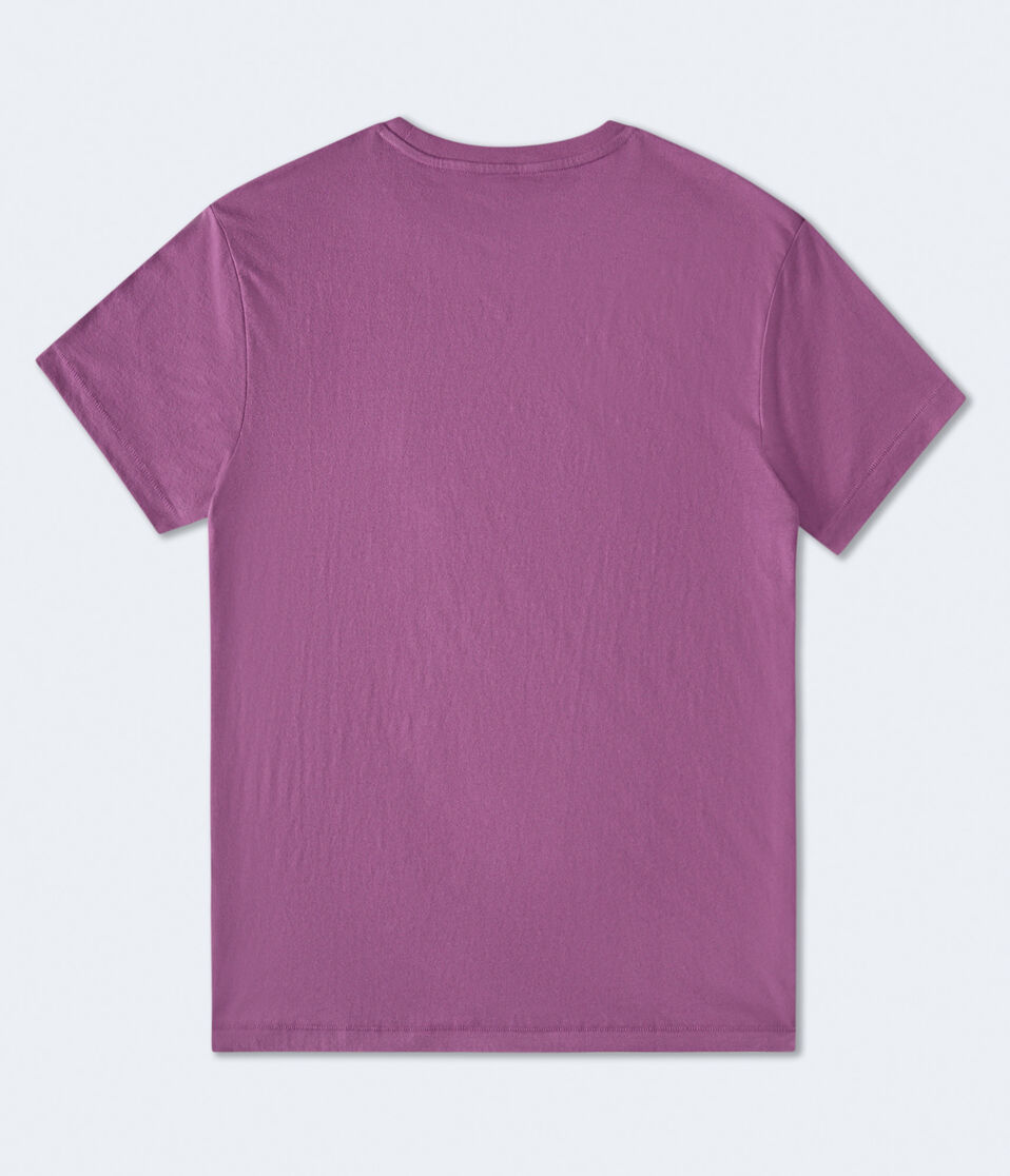 Aero 1987 Trademark Appliqué Graphic Tee