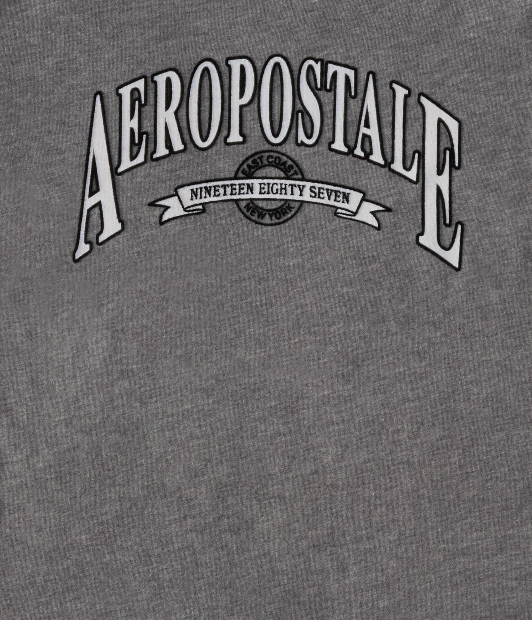 Aeropostale Arch Flocked Graphic Tee