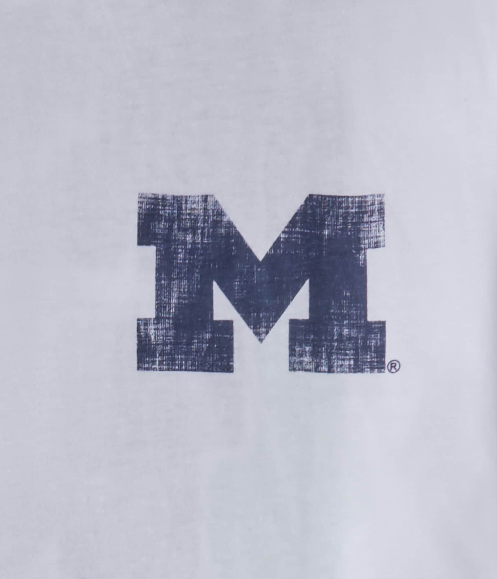 Michigan Wolverines Relaxed Graphic Tee