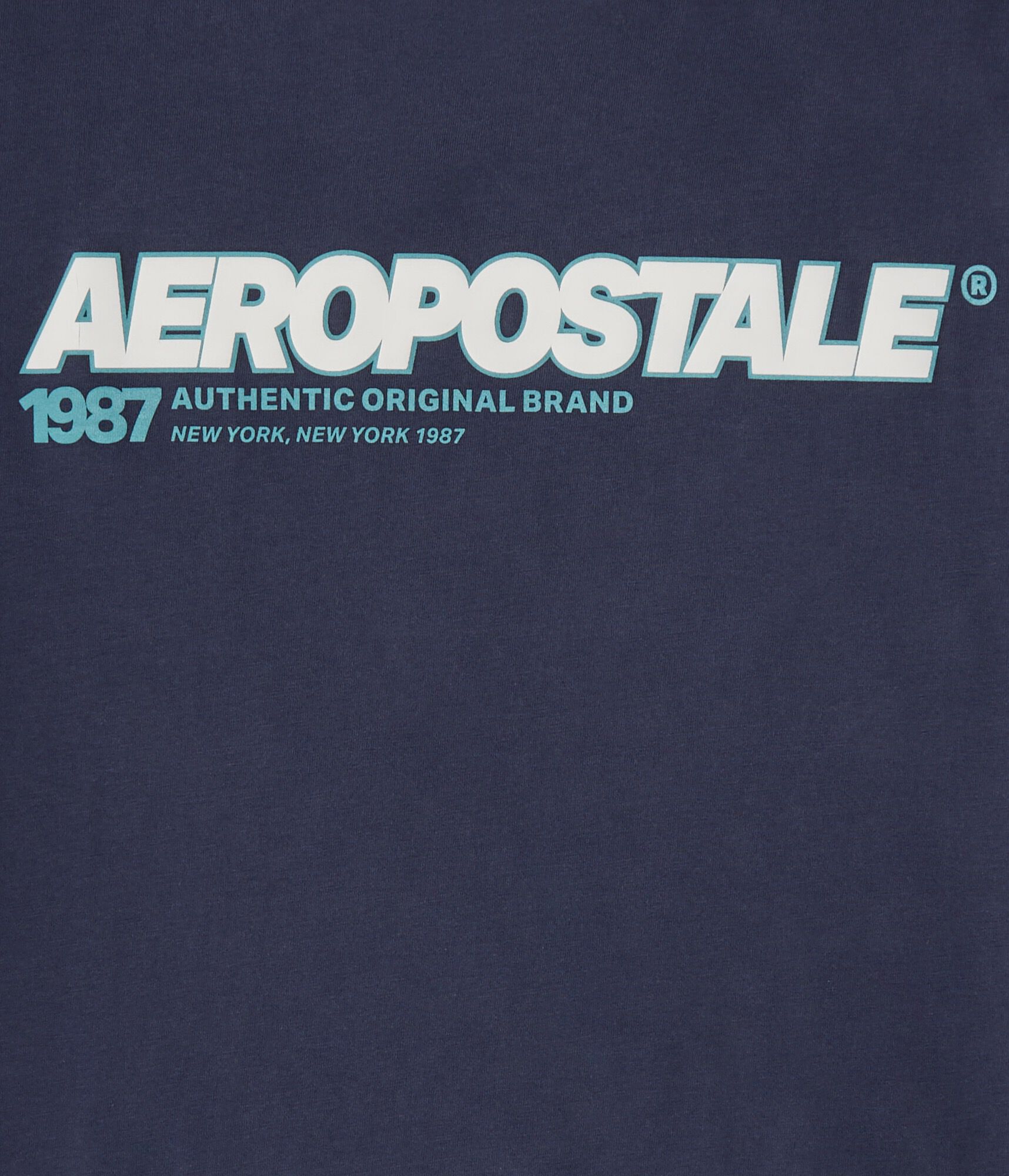 Aeropostale 1987 Graphic Tee