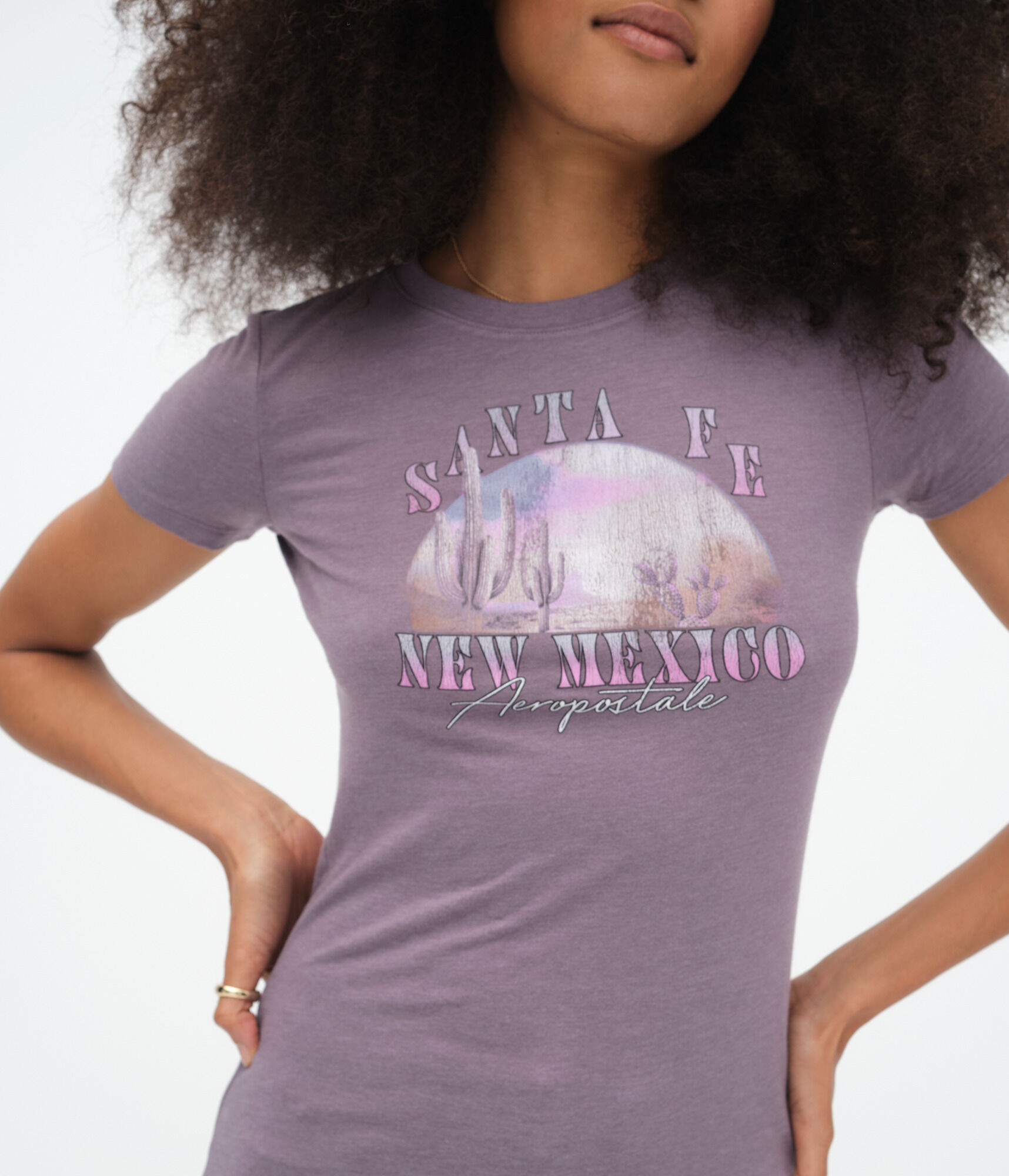 Santa Fe New Mexico Graphic Tee