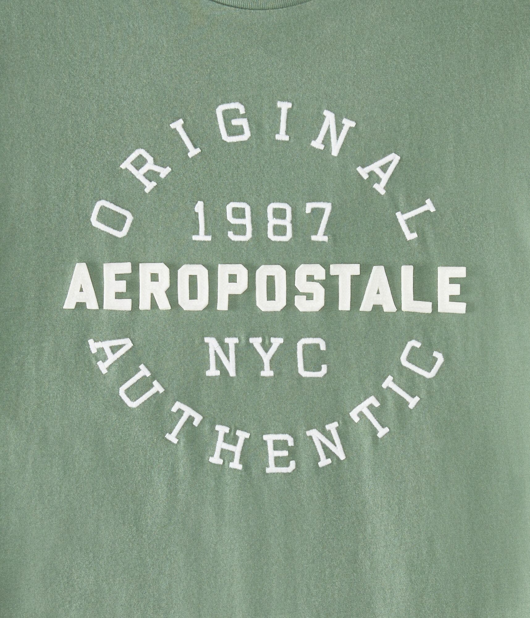 Aeropostale 1987 Circle Appliqué Graphic Tee
