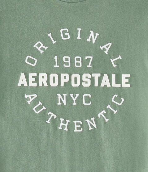 Aeropostale 1987 Circle Appliqué Graphic Tee Aeropostale 1987 Circle Appliqué Graphic Tee