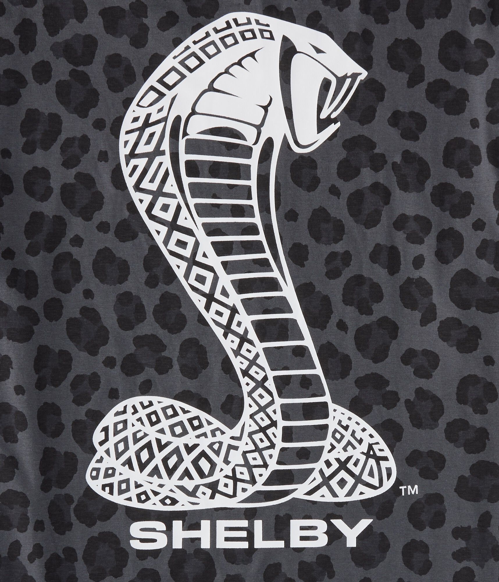 Shelby Leopard Print Relaxed Graphic Tee