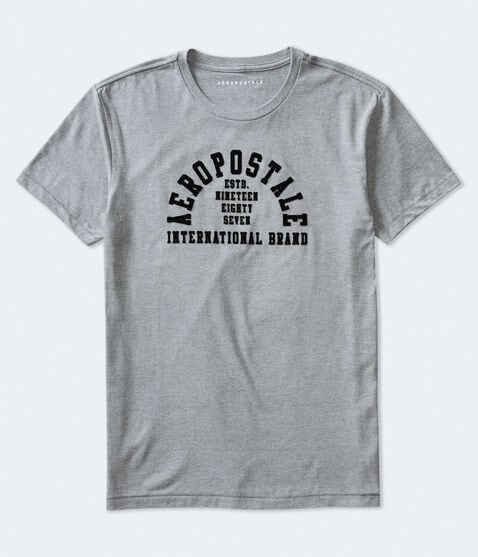 Aeropostale Arch Flocked Graphic Tee Aeropostale Arch Flocked Graphic Tee