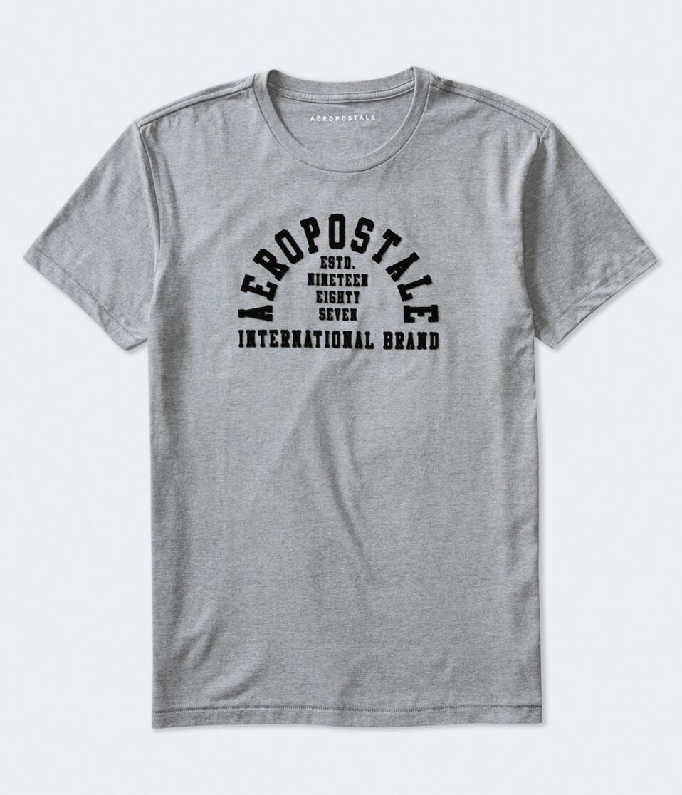Aeropostale Arch Flocked Graphic Tee