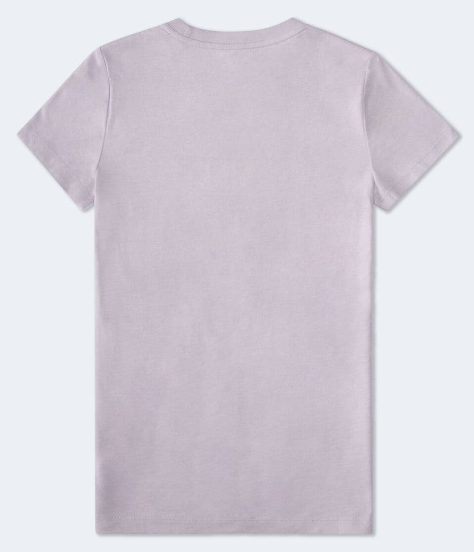 Aeropostale Athletic Division Appliqué Graphic Tee