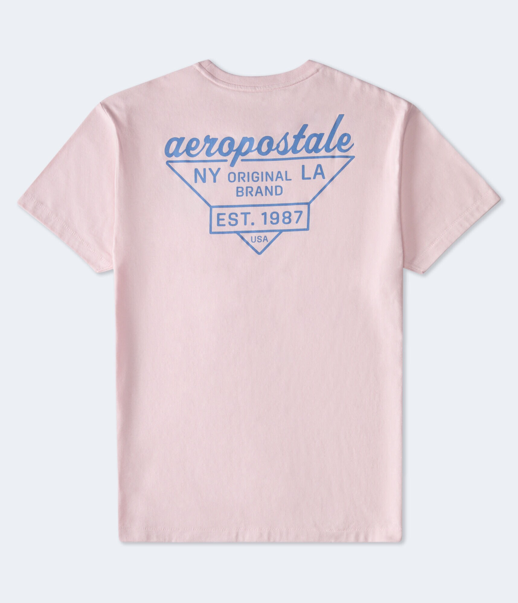 Aeropostale Triangle Logo Graphic Tee