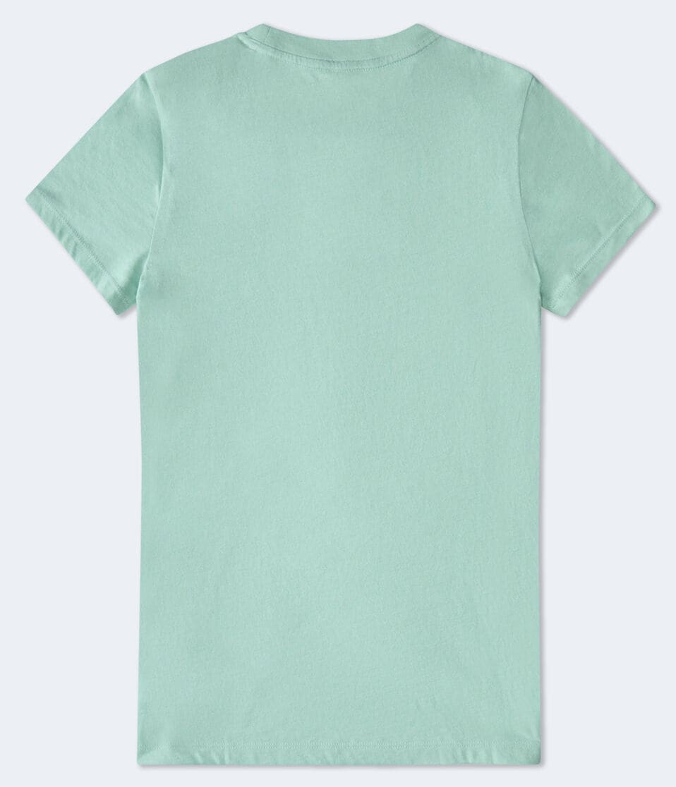 Aeropostale Butterfly Foil Graphic Tee