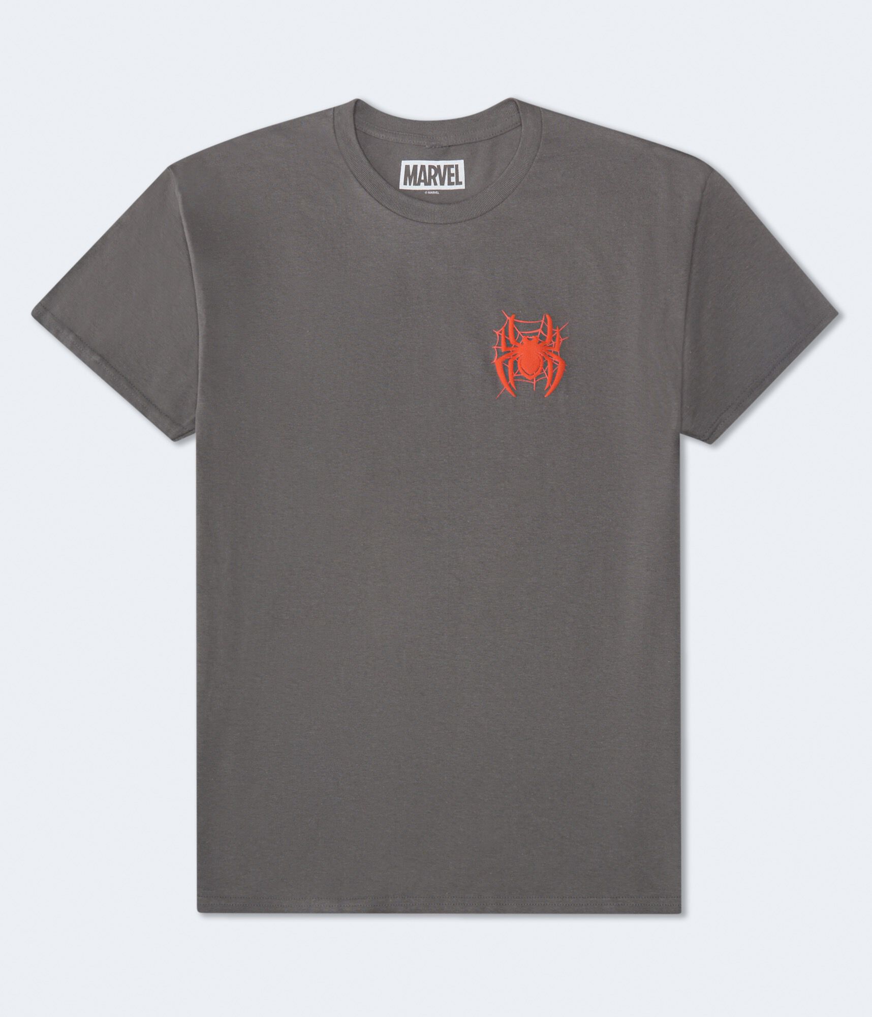 Spider-Man Web Relaxed Graphic Tee