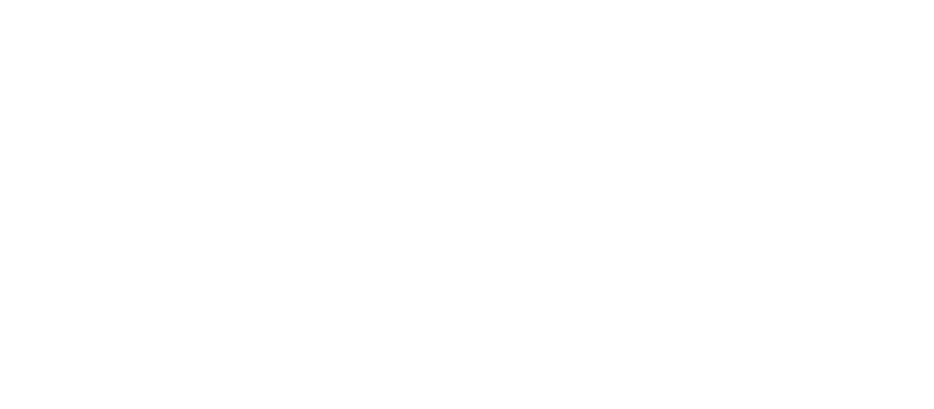 vote