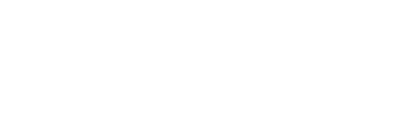 Formula 1