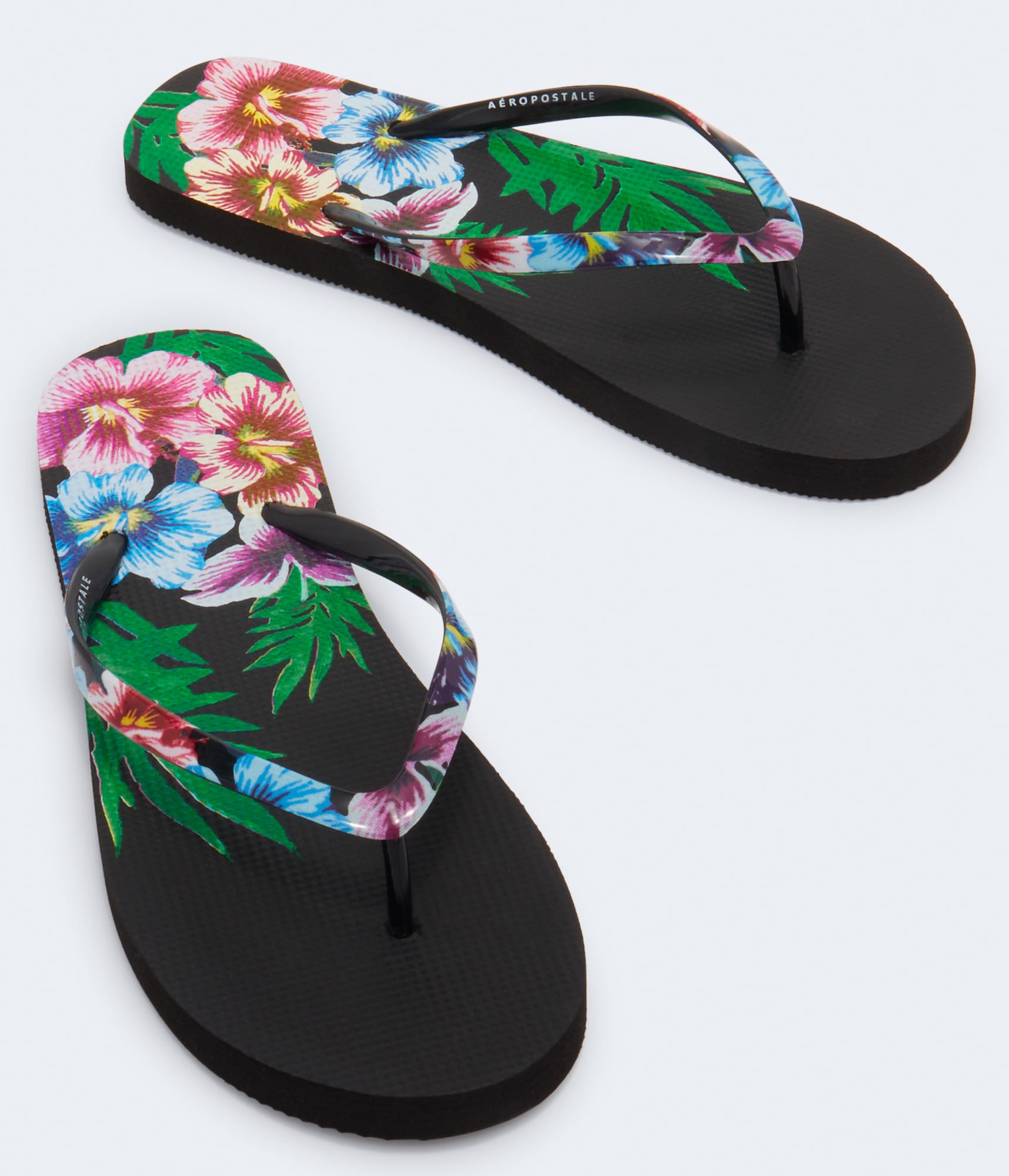 サンダル ASCLO IY Color Flip Flops (5color) ASCLO IY Color Flip Flops (5color) (ASCLO/サンダル) 84011298