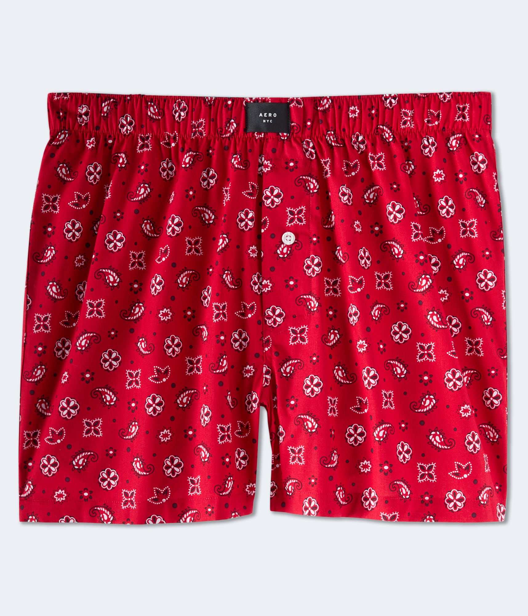 Bandana Print Woven Boxers