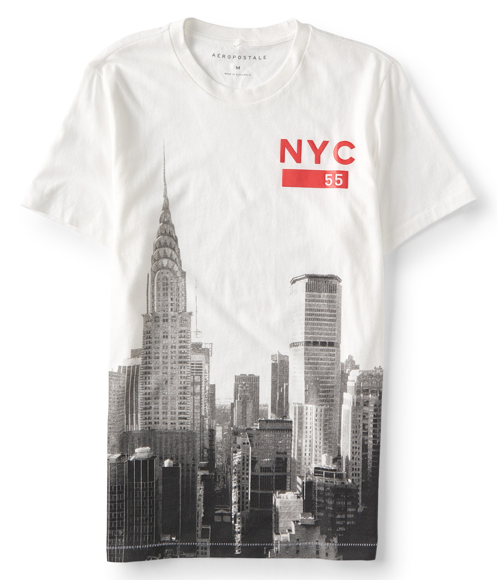 nyc 55 skyline graphic